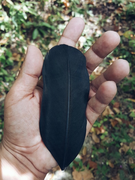 Um Close Em Uma Mão Segurando Uma Pena Delicada Acima De Um Campo Gramado.